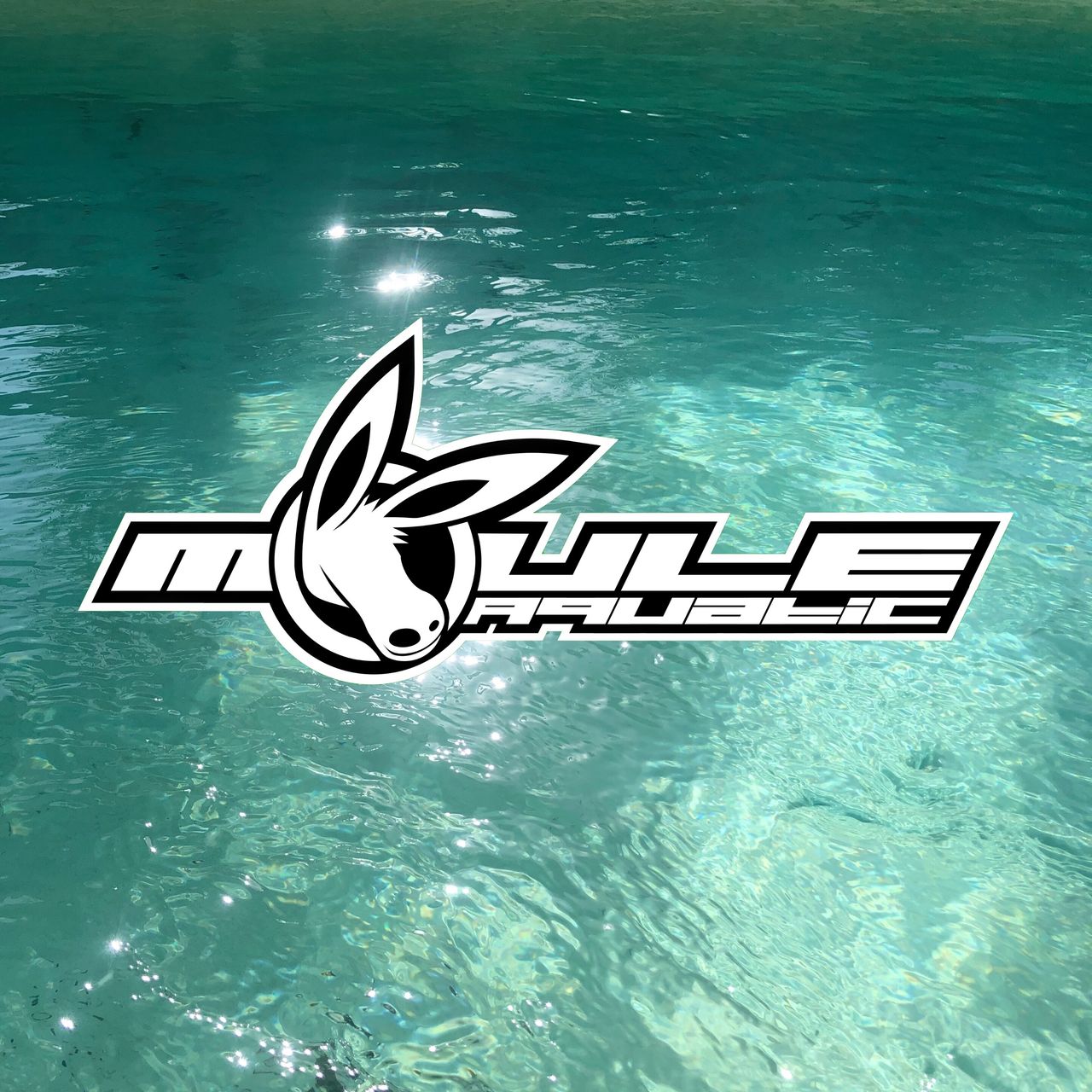 The cover artwork for Aquatic: a photo of the water of a sparkling light-blue pool with the MOULE logo and the word "Aquatic" in the centre of it.