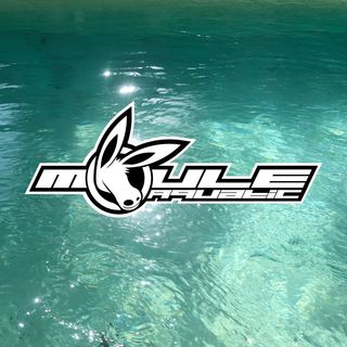 The cover artwork for Aquatic: a photo of the water of a sparkling light-blue pool with the MOULE logo and the word "Aquatic" in the centre of it.