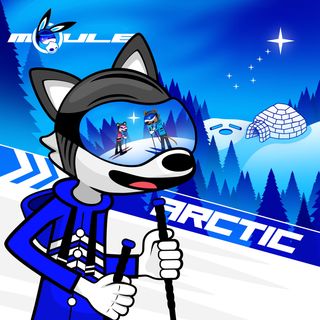 Cover art of Arctic showing Brook the white Alaskan Malamute wearing blue skiing gear skiing down a snowy mountain with a faint aurora and igloo in the background.