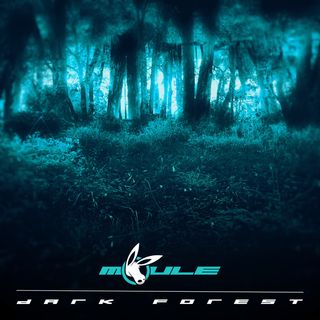 The cover artwork of Dark Forest, a digitally-altered photo of bushland flipped upside down on itself with a dark foreground and a glowing cyan background behind the trees in the distance.