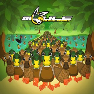 Cover art of Duck Army showing a crowd of over a hundred mallard ducks marching towards the viewer walking between two lakes, with a black swan in the left one, under lush tree canopies.